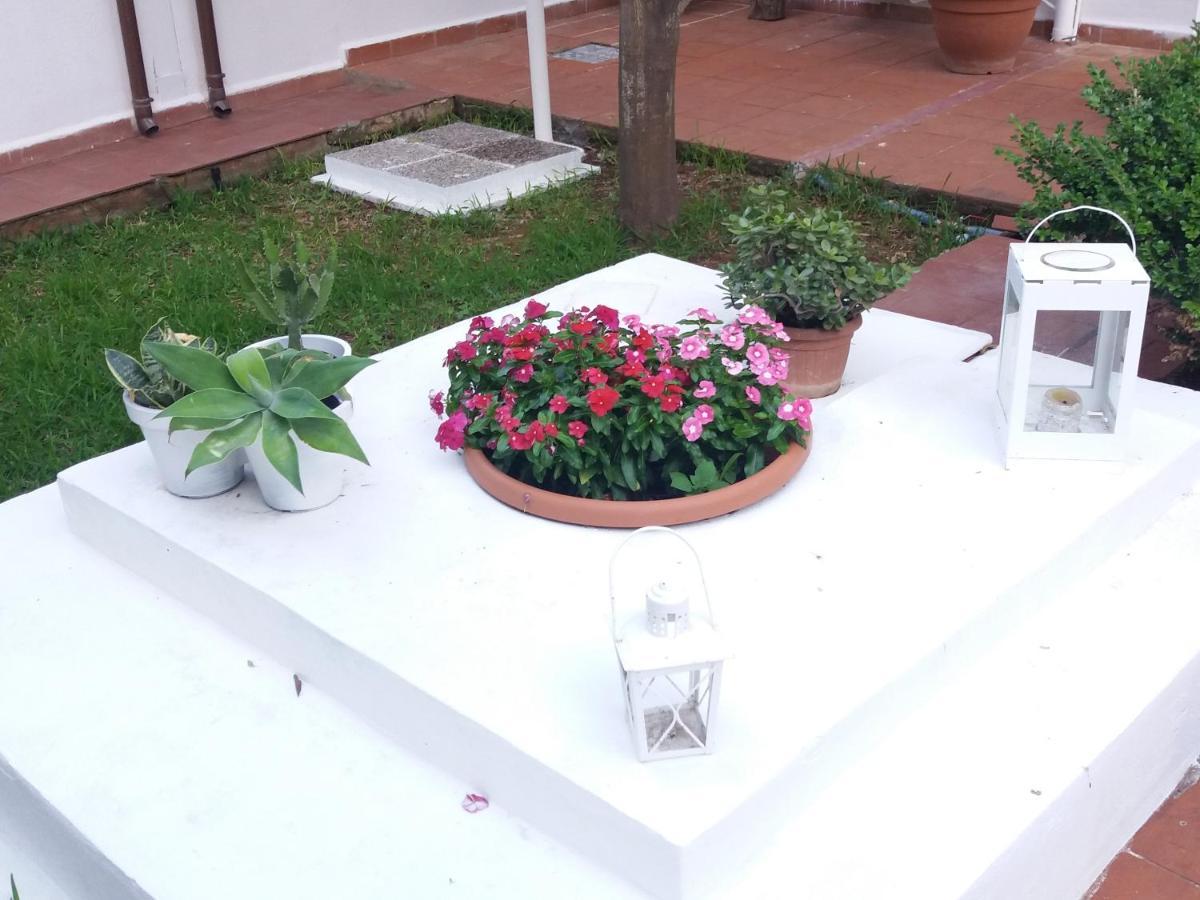 Casa Agrumeto - Locazione Turistica Mondello Exteriör bild