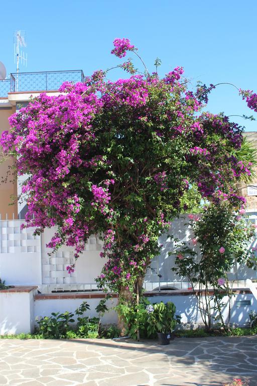 Casa Agrumeto - Locazione Turistica Mondello Rum bild