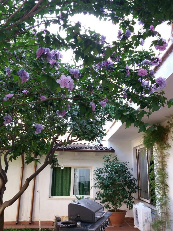 Casa Agrumeto - Locazione Turistica Mondello Exteriör bild